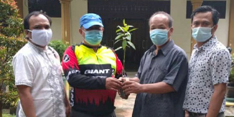 UKM Jurnalis Bina Mandiri menyerahkan bibit eucalyptus ke Kadis Kebersihan dan Pertamanan Kota Medan M Husni/RMOLSumut