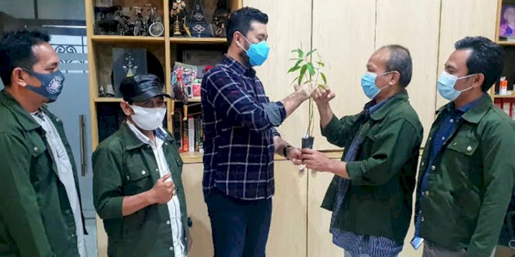Pengurus UMKM Jurnalis Bina Mandiri menyerahkan bibit Eucalyptus kepada Ketua DPD KNPI Sumut El Adrian Shah/RMOLSumut
