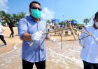 Bank BTN  Transplantasi 710 Terumbu Karang Dan Lepas 7.100 Tukik Di Pantai Bali