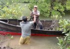 Warga Langkat Yakin Penanaman Bibit Mangrove Akan Tingkatkan Perekonomian