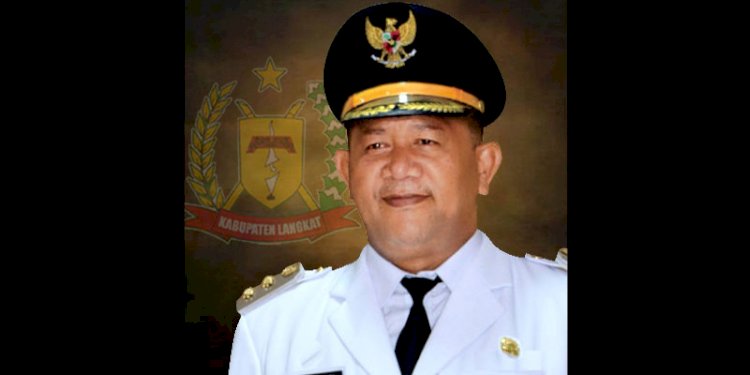 Wakil Bupati Langkat Syah Afandin/Ist