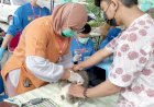 Daerah Di Kawasan Danau Toba Jadi Fokus Penanganan Rabies Di Sumut