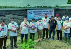 Bersam Petani Binaan, Partai Perindo Kembangkan Tanaman Porang Di Deli Serdang