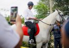Pacuan Kuda di Sergai Perlu Didorong Menjadi Tempat Wisata