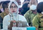 598 Ternak Suspek, Wabah PMK Ancam Hewan Ternak di Sumatera Utara
