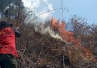 Kebakaran Hutan dan Lahan di Pinggiran Danau Toba Kembali Terjadi