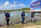 Garda Pemuda NasDem Tanam Mangrove di 7 Provinsi