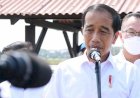Jokowi Segera Ajukan Pengganti Lili Pintauli ke DPR