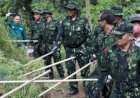 BNN Aceh Musnahkan 24 Ribu Batang Tanaman Ganja