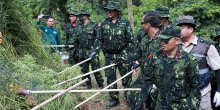 Badan Narkotika Nasional (BNN) memusnahkan 2,5 hektare tanaman ganja di pedalaman hutan Kecamatan Indrapuri, Aceh Besar, Aceh/Ist