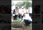 Bobby Nasution dan Peserta IMT GT Gelar Aksi Tanam Pohon di Medan