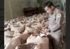 Ekspor Kakao Biji Asal Sumut Terus Meningkat