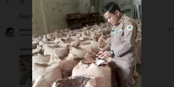 Petugas sedang memeriksa kualitas kakao biji yang akan diekspor dari Sumatera Utara/Ist