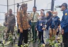 Polbangtan Medan Kini Miliki Lab Tefa Miniplant Industry dan Modern Nursery Kopi