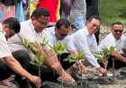 Gerindra Sumut Gelar Aksi Menanam Mangrove di Deli Serdang