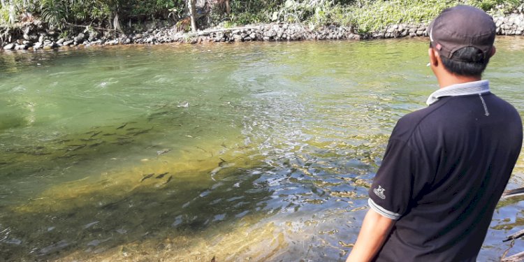 Warga mengawasi aliran Sungai Garoga yang dipenuhi ikan di Desa Garota, Kecamatan Batang Toru, Kabupaten Tapanuli Selatan yang menjadi salah satu titik Lubuk Larangan/Ist