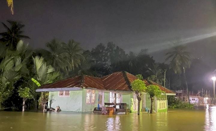 Banjir di Aceh Timur. Foto: Dok BPBA.
