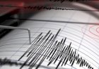 Maluku Tenggara Barat Diguncang Gempa 6,0 Magnitudo