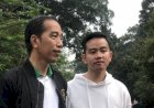 Siapa Menjerumuskan (Keluarga) Jokowi?