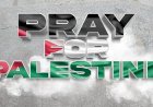 Beda Sikap Caleg Golkar Terkait Palestina: Meutya Menolak Boikot, Ijeck Menggalang Bantuan