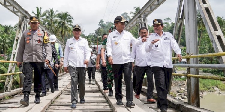 Pj Gubernur Sumut, Hassanudin meninjau jembatan Idano Noyo/Ist
