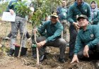 Tanam Pohon, Pj Gubsu Dorong Rehabilitasi Lahan Kritis